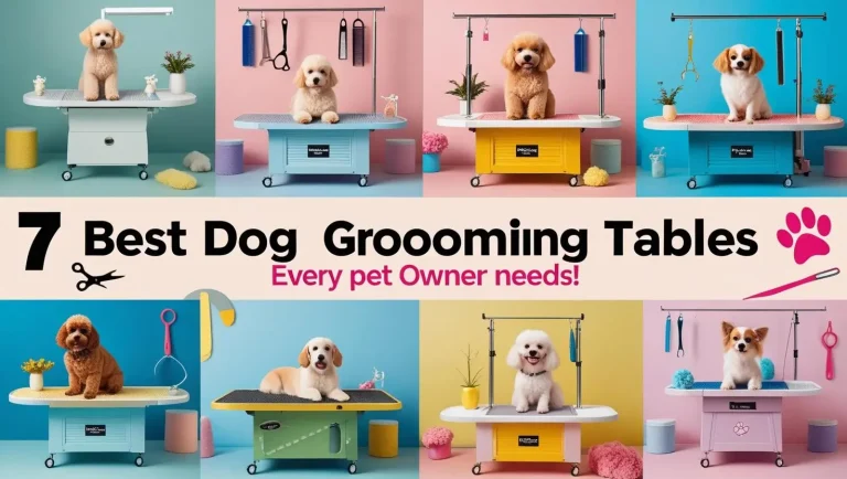 7 Best Dog Grooming Tables 2025: Top Picks for Home and Professional Use