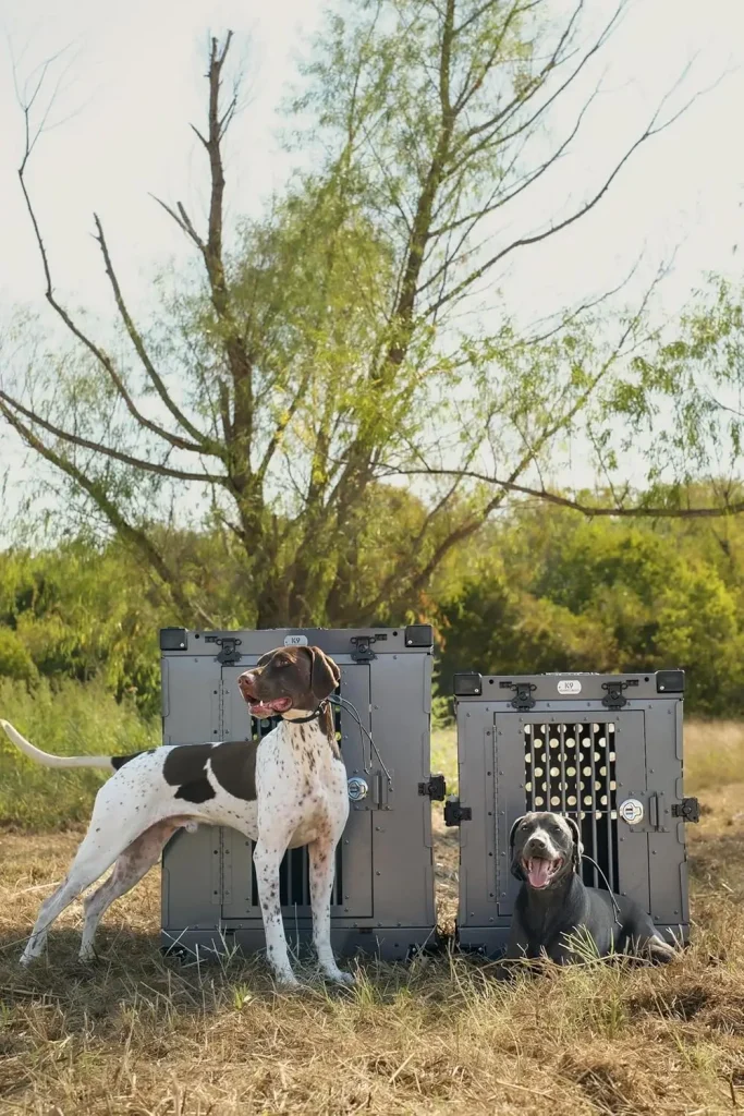 SportPet Designs Plastic Kennel SportPet Designs Plastic Kennel