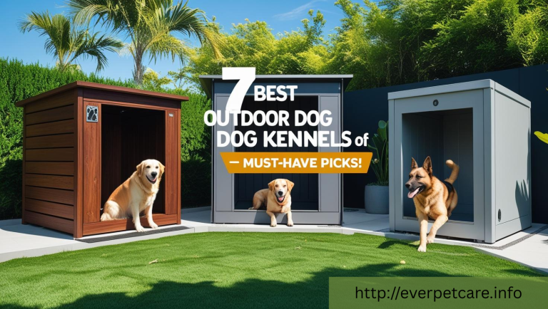 7 best outdoor dog kennels must have