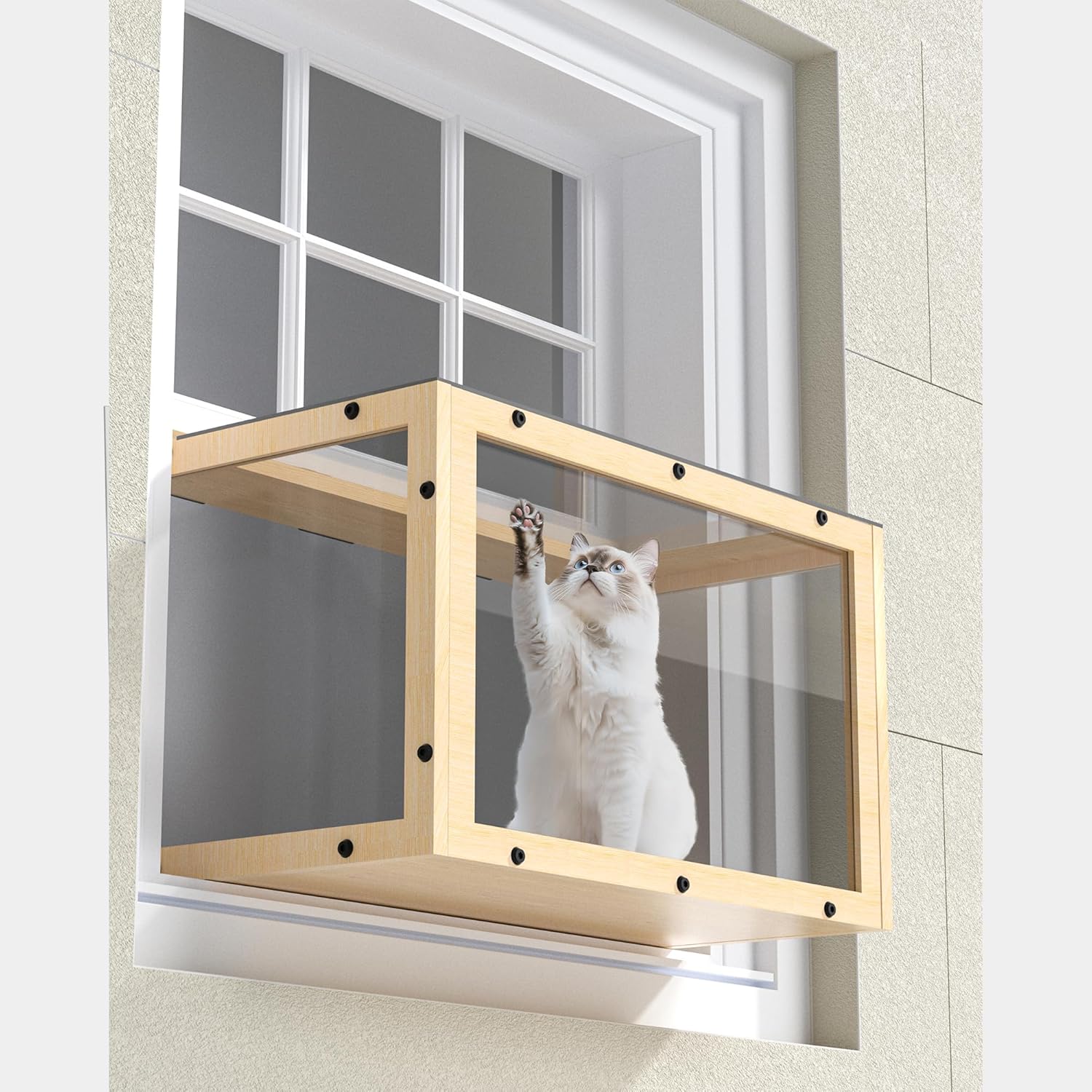 Balcony Catio (Urban Outdoor Paradise) Balcony Catio (Urban Outdoor Paradise)