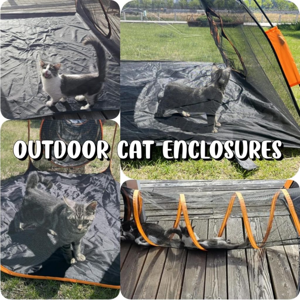 Freestanding Catio (Moveable & Modular) Freestanding Catio (Moveable & Modular)