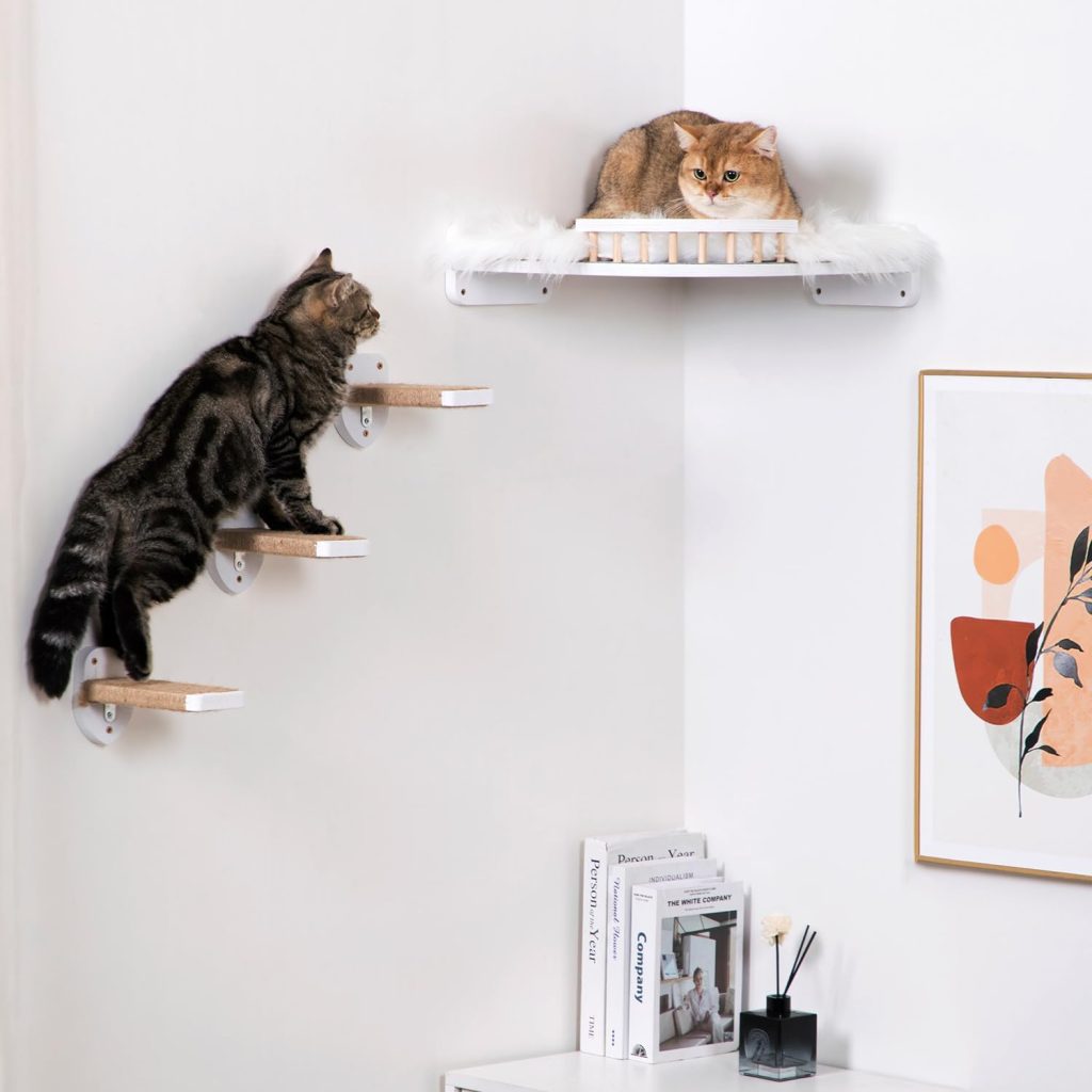 Wall-Mounted Catio (Climb & Conquer) Wall-Mounted Catio (Climb & Conquer)