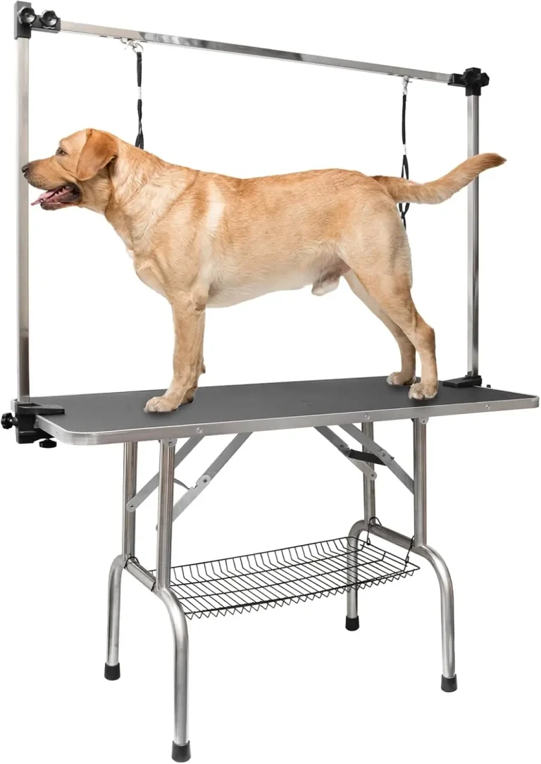RoomTec 46-Inch Dog Grooming Table – Best for Large Dogs RoomTec 46-Inch Dog Grooming Table – Best for Large Dogs