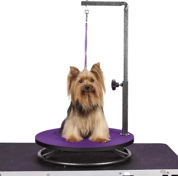 Master Equipment Small Dog & Cat Grooming Table – Best for Small Dogs Master Equipment Small Dog & Cat Grooming Table – Best for Small Dogs